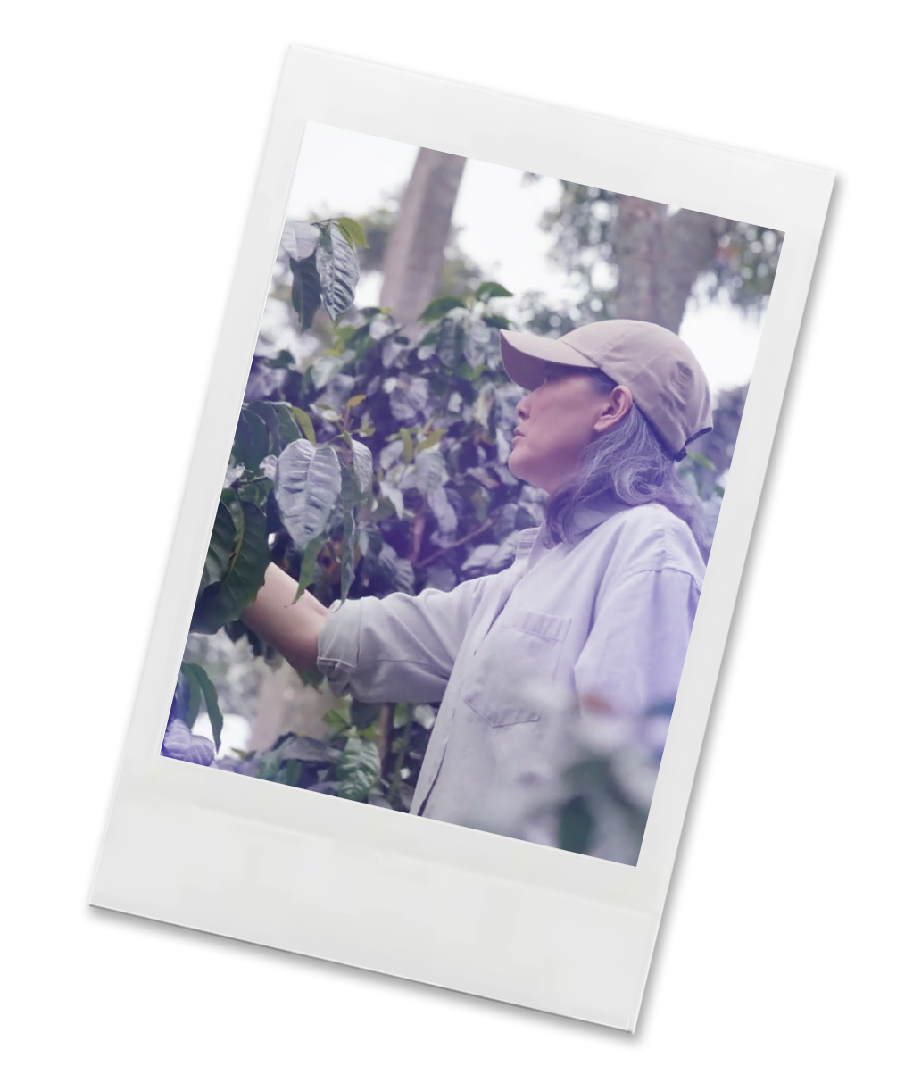 Polaroid-style photo of a person on a coffee farm