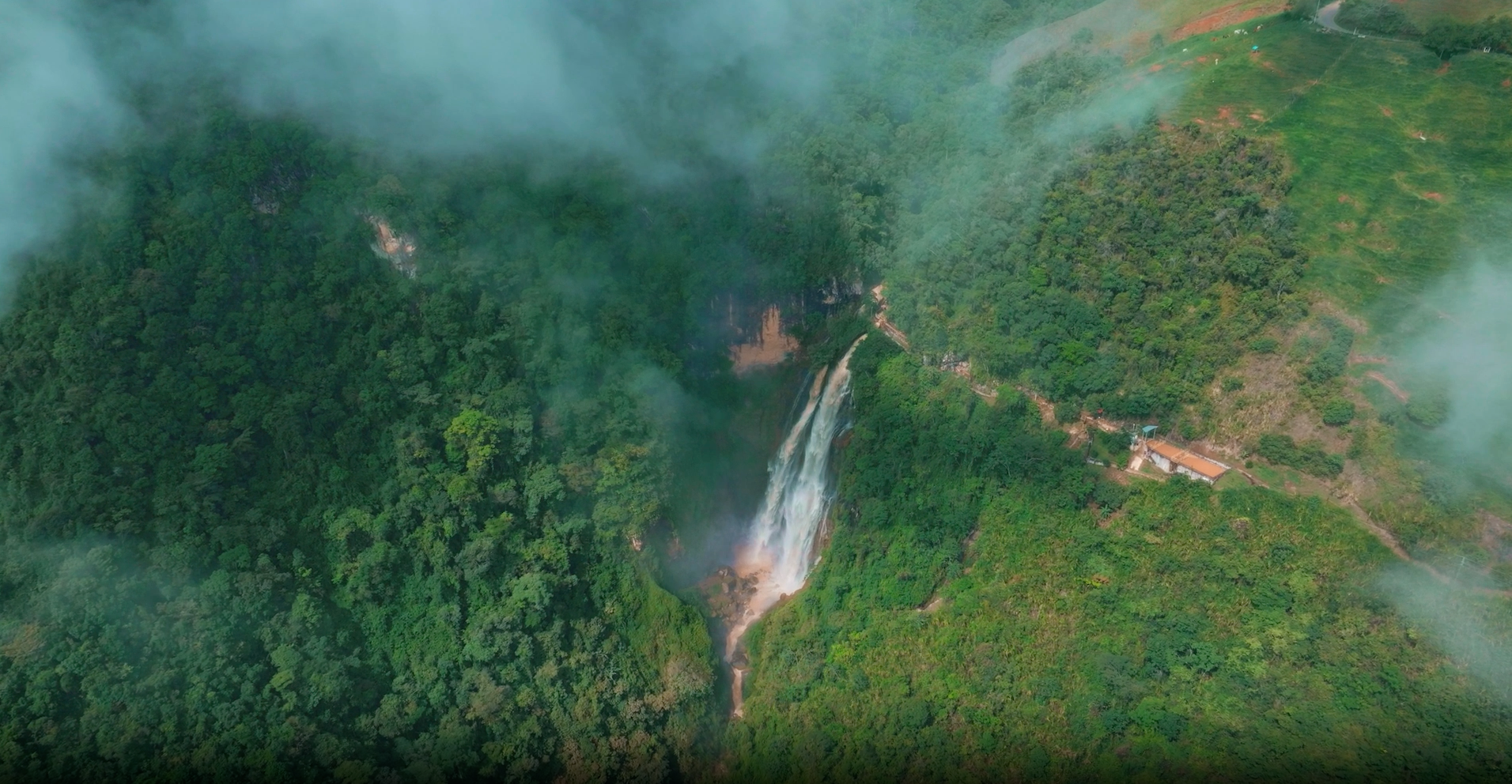 A video from our founder, Craig Dubitsky